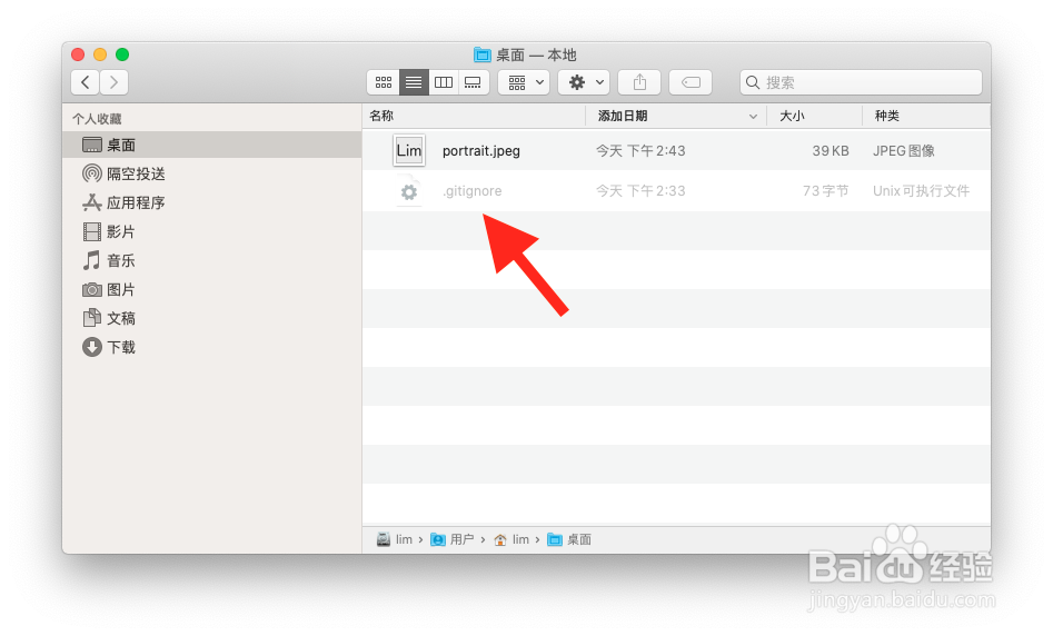 MacBook-苹果系统电脑显示隐藏文件教程