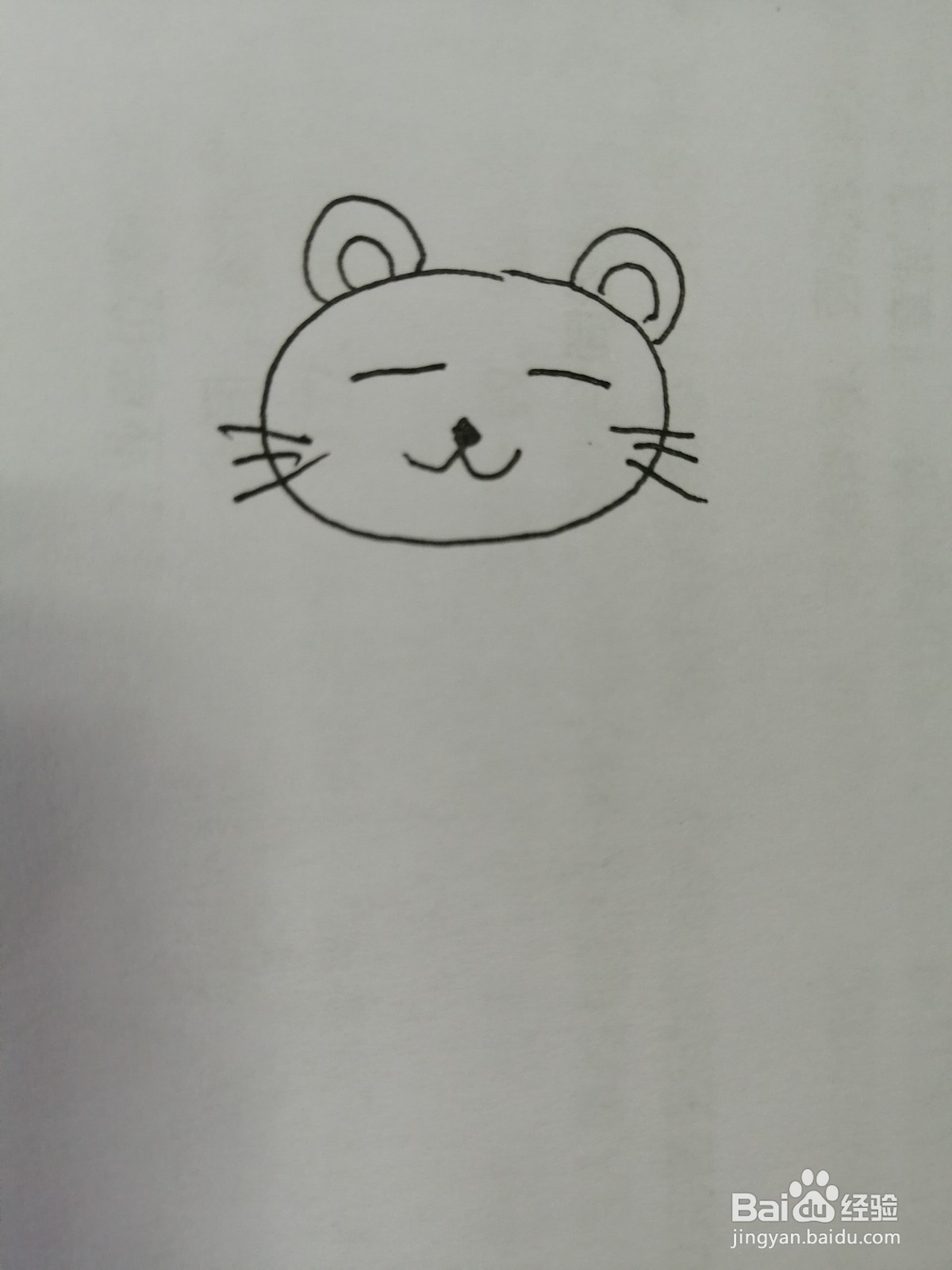 可爱的小狮子怎么画