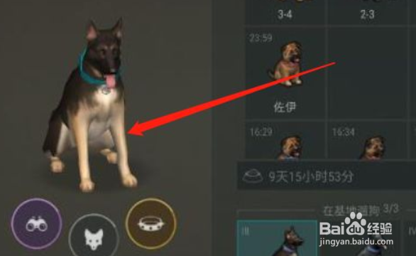 lastdayonearth狗怎么升级#校园分享#