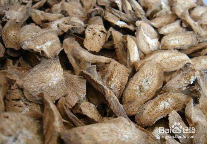 牛蒡茶与牛蒡根,哪个更好?具体又有哪些不同?