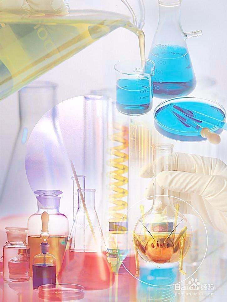 成长为学生喜爱及社会需要的新型化学老师