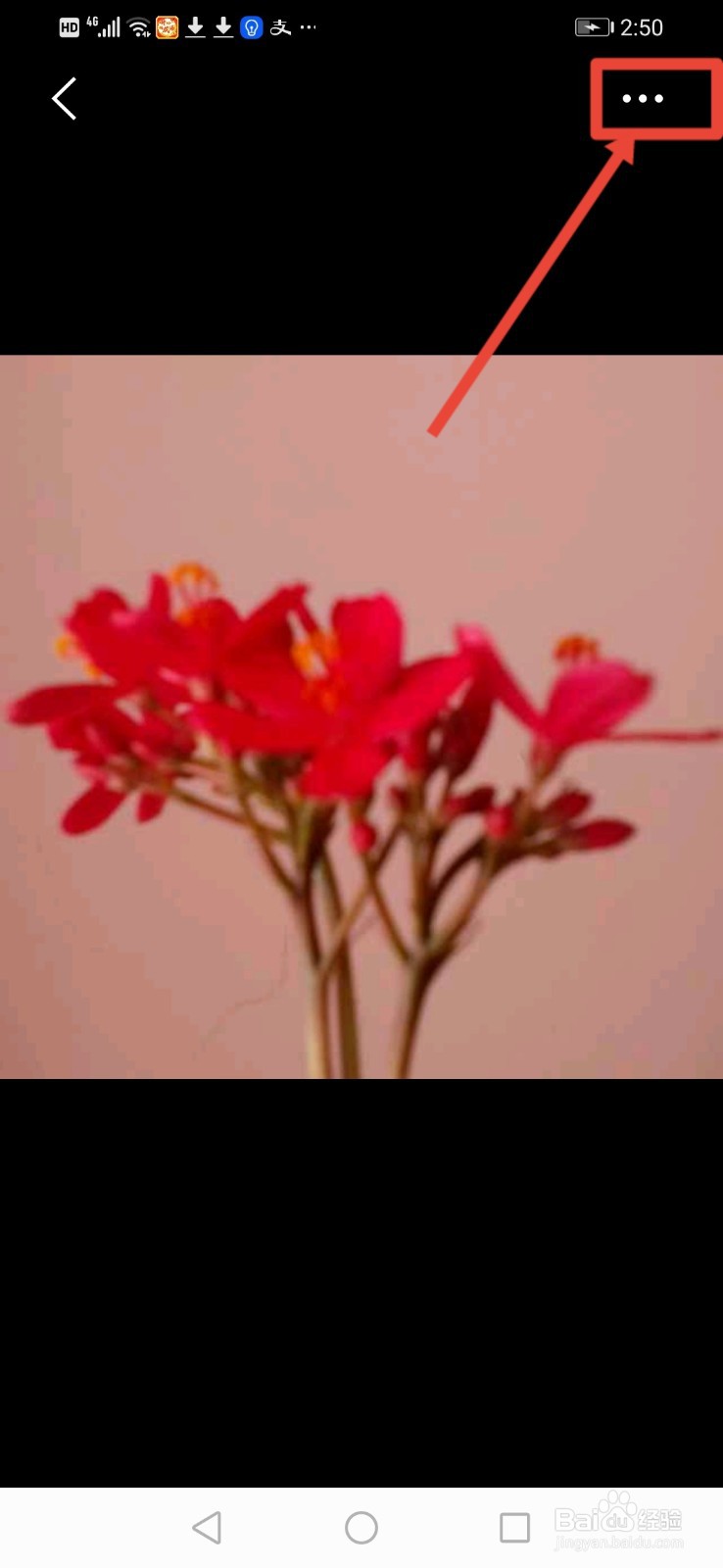 全民K歌极速版怎么更换头像