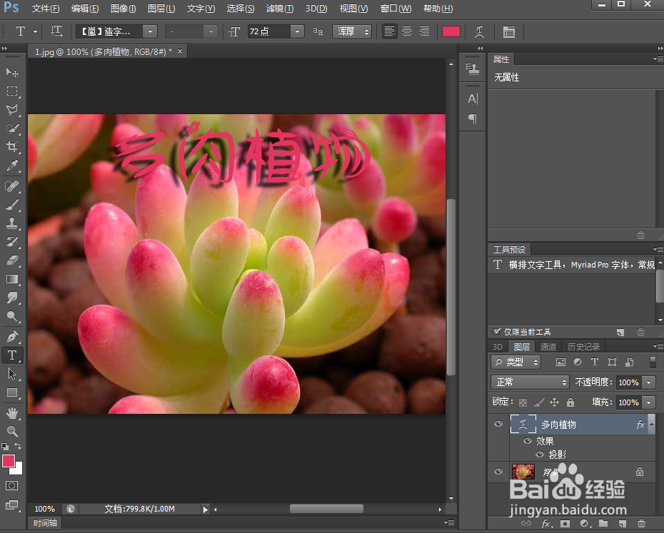 怎样给文字添加鱼眼和投影效果