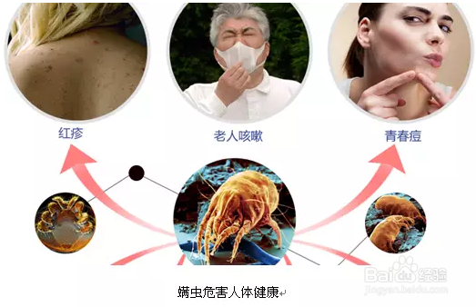 如何清除螨虫