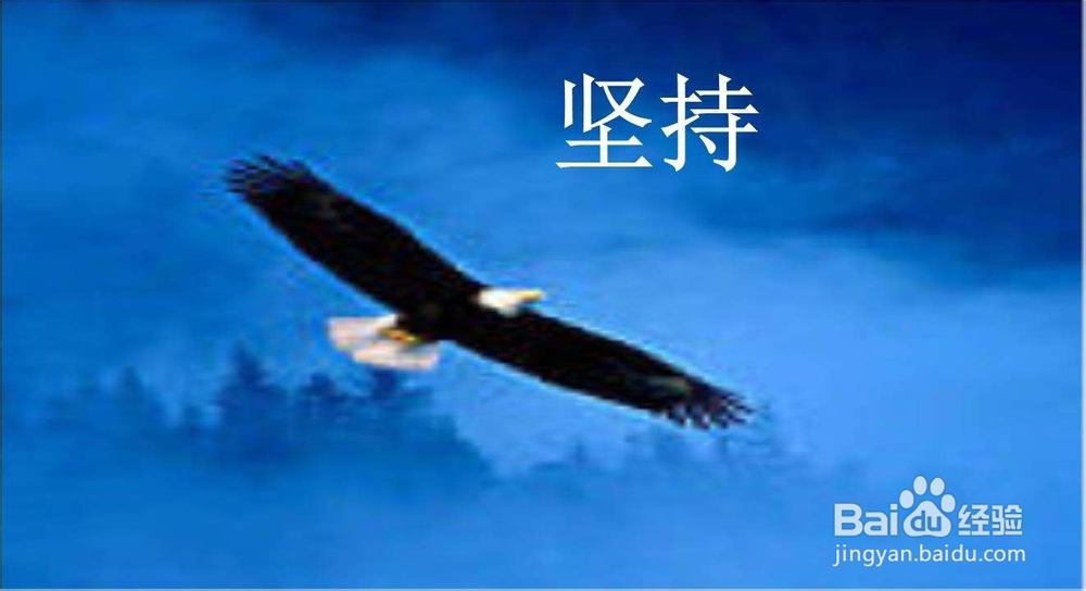 安全有效的减肥方法