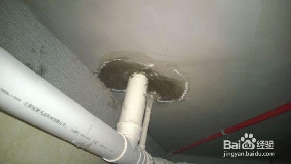 室内墙发霉！7招拯救你家墙面，跟霉说永别