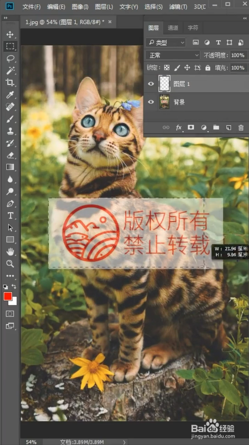PS中如何差值去水印？