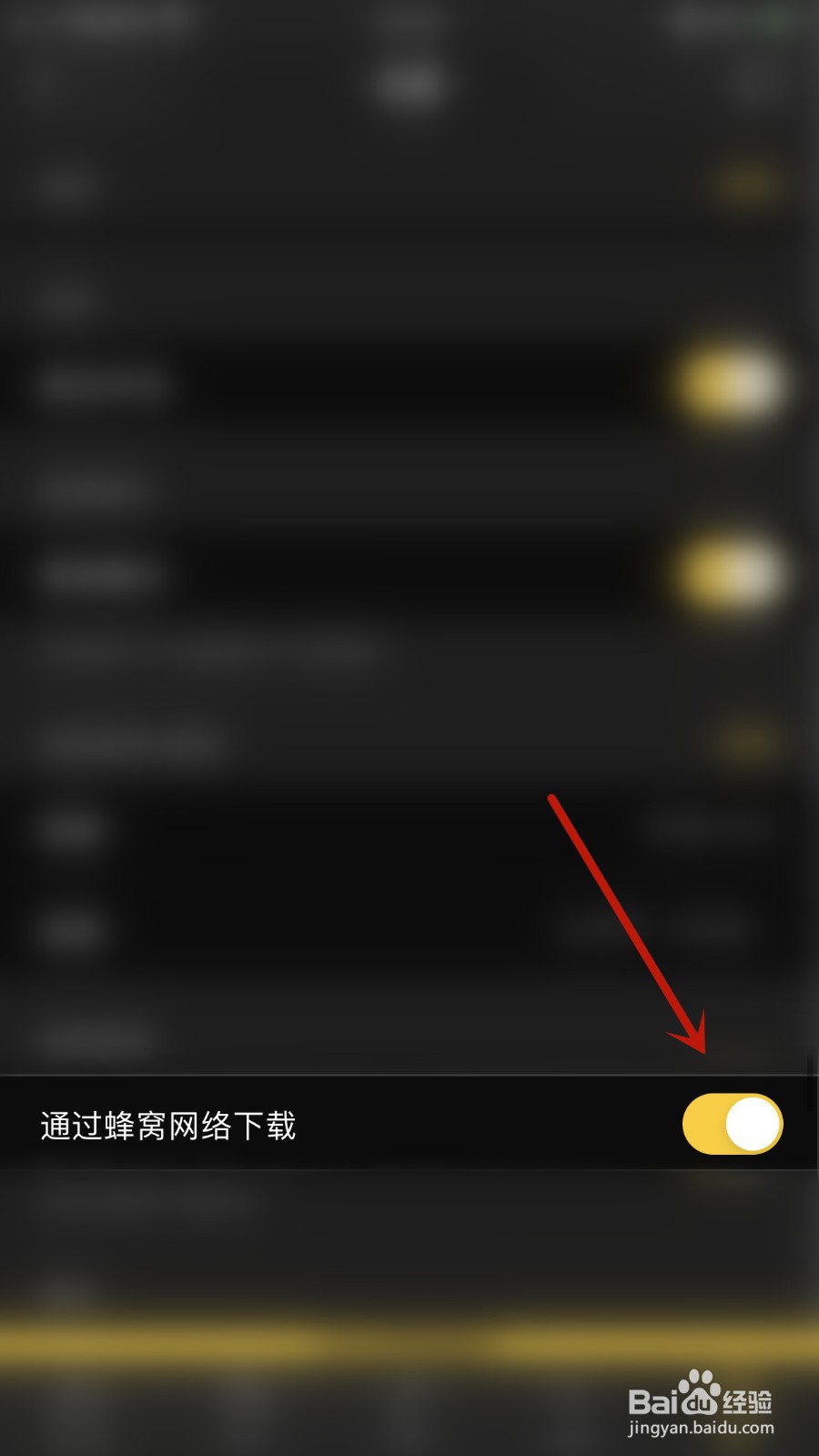 柏林爱乐如何开启通过蜂窝网络下载