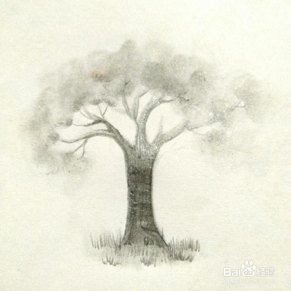 怎样画一颗树？