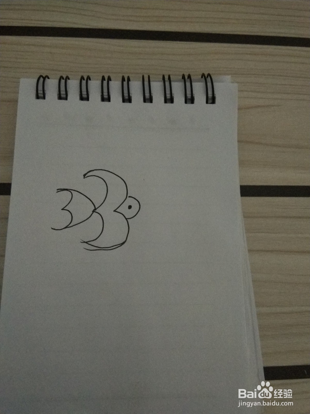 燕子的简笔画这样画