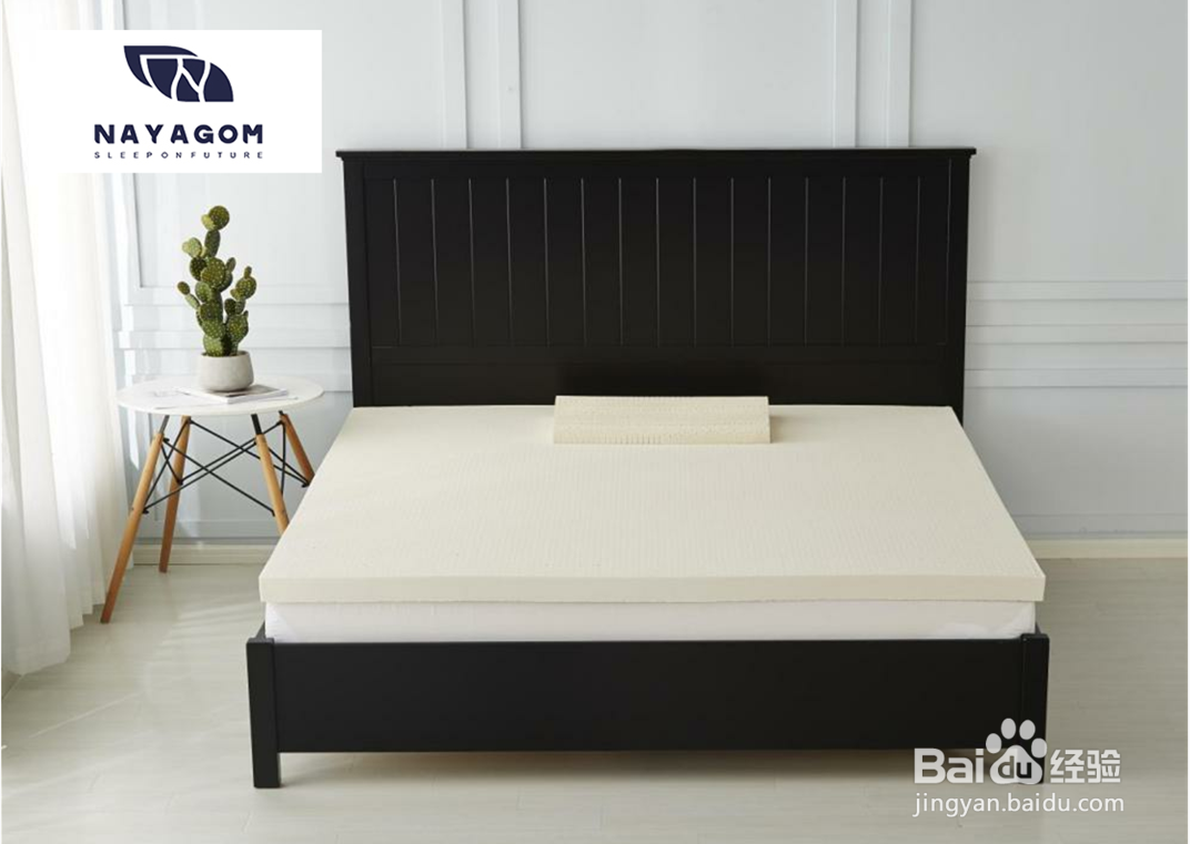 到底什么是乳胶呢?