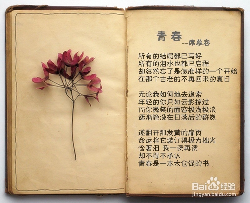 怎么回忆美好的青春