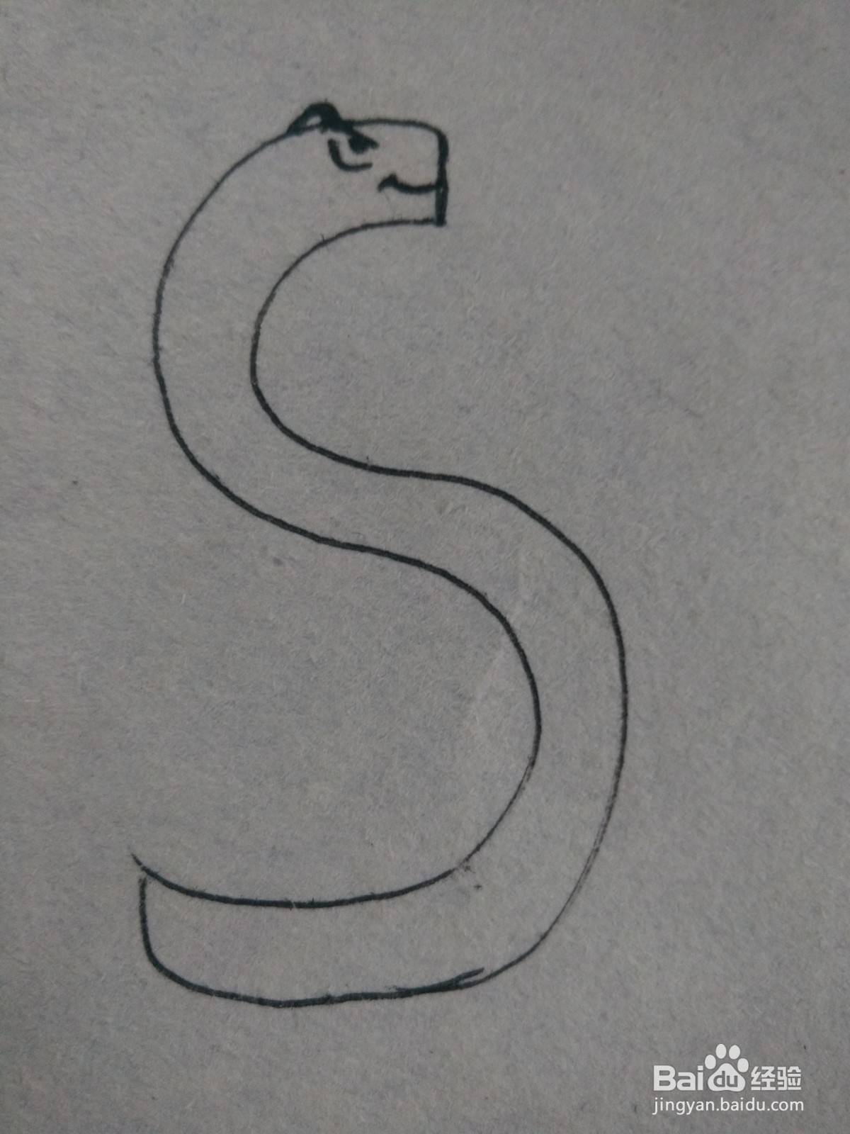 怎么画卡通字母“S”的简笔画过程