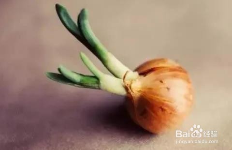 大蒜、洋葱、生姜、土豆发了芽还能吃吗？