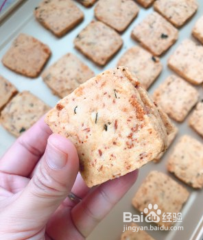 芝士海苔脆肉松曲奇