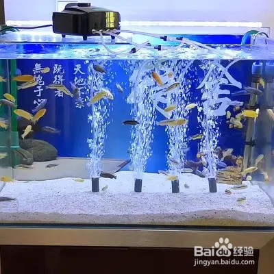 鱼缸水温过高怎么降温