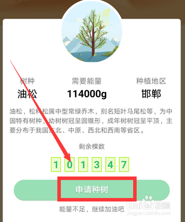 钉钉怎么合种公益树 钉钉班级树在哪里种