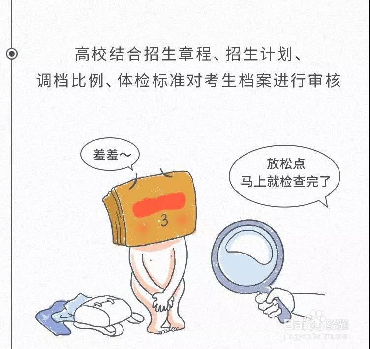 高考录取具体流程是哪些？