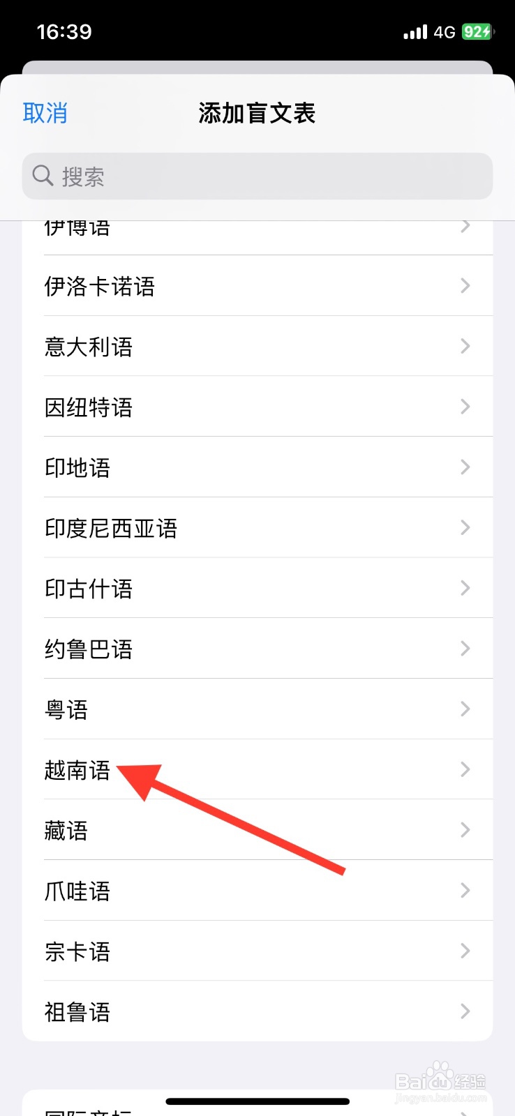手机iPhone旁白添加越南语盲文表