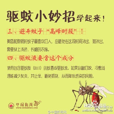 为什么，蚊子爱的总是你？