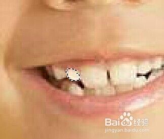 如何用Adobe Photoshop 7.0修补相片牙齿