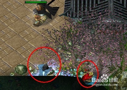 时空之轮第九季攻略