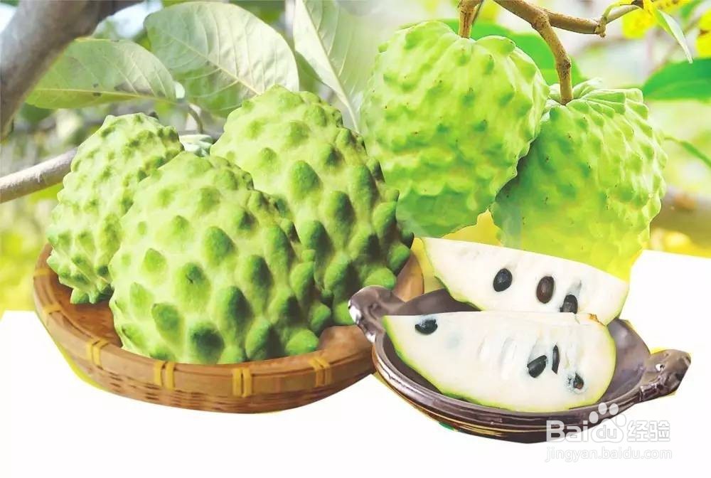 释迦果的养生功效你知道吗？