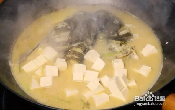 怎样才能做出奶白色的鱼汤