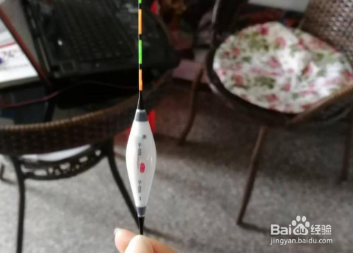 银鲴鱼怎么钓