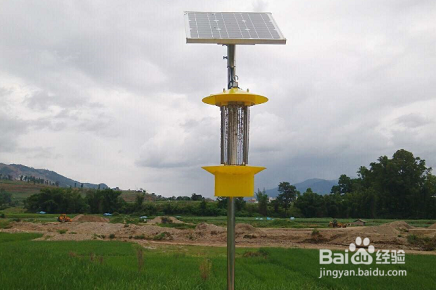 如何维护和保养太阳能杀虫灯