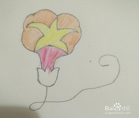 简笔画牵牛花怎么画？