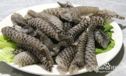 怎样选购,才能买到放心好吃的海产品