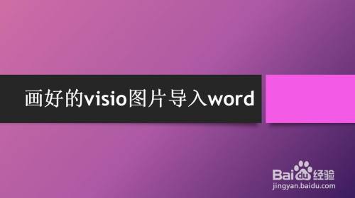 画好的visio图片导入word