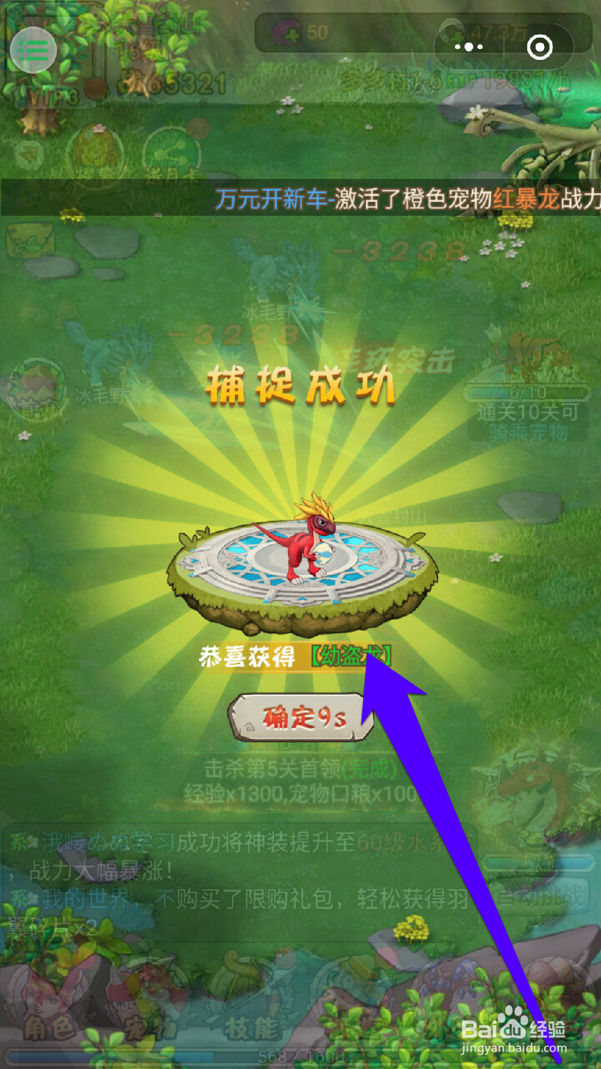 怎样捕捉一个宠物