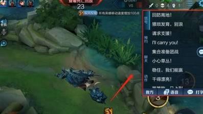 王者怎么查看对局完的聊天记录