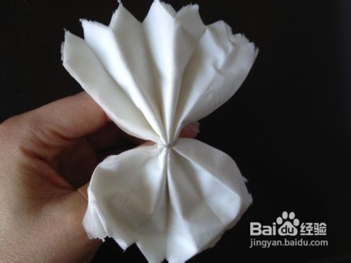 【乐趣】怎样用卫生纸做白花
