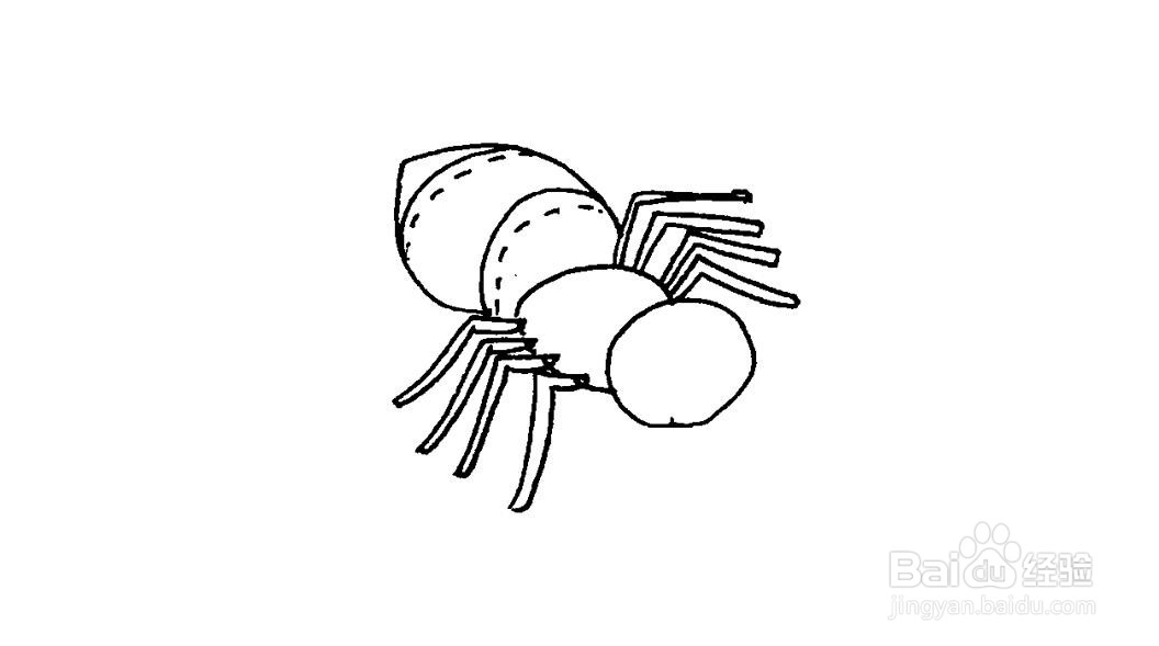 蜘蛛简笔画画法教程