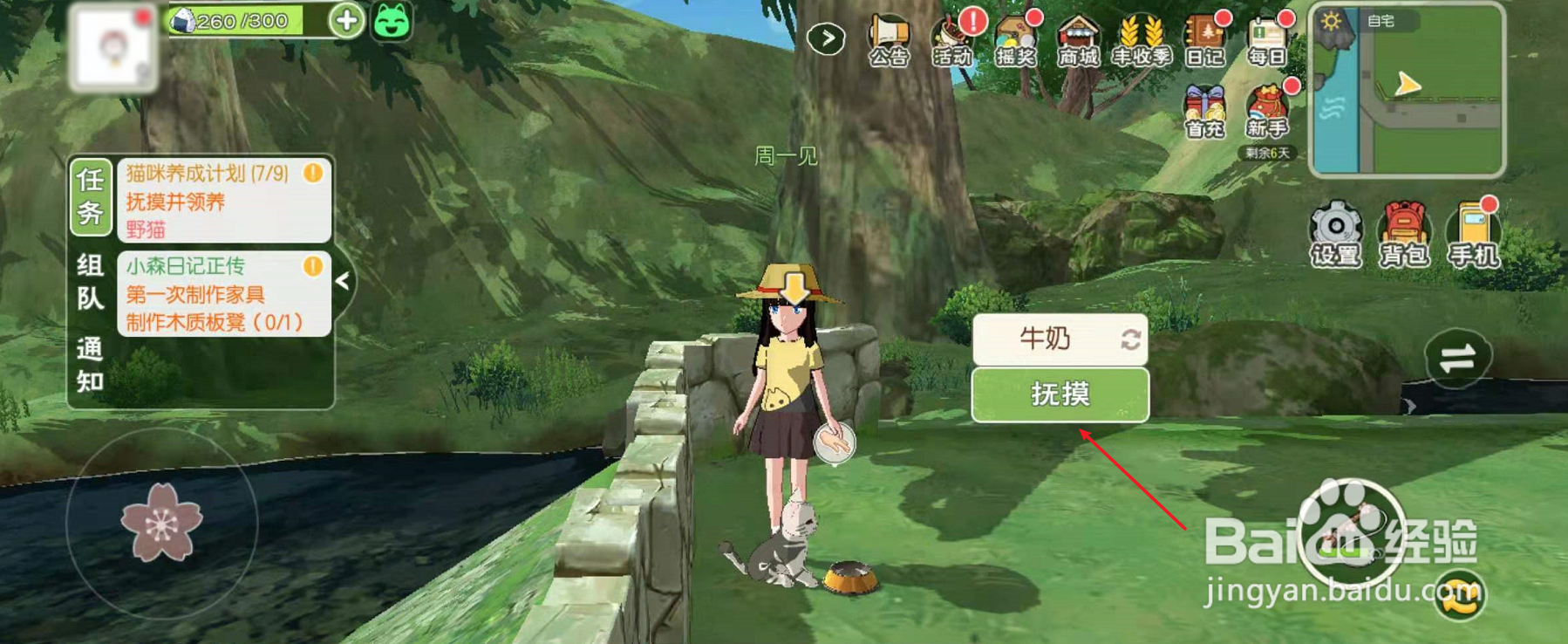 小森生活怎么领养小猫
