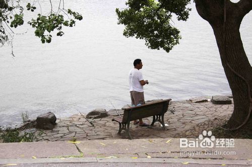 夏天钓草鱼的方法
