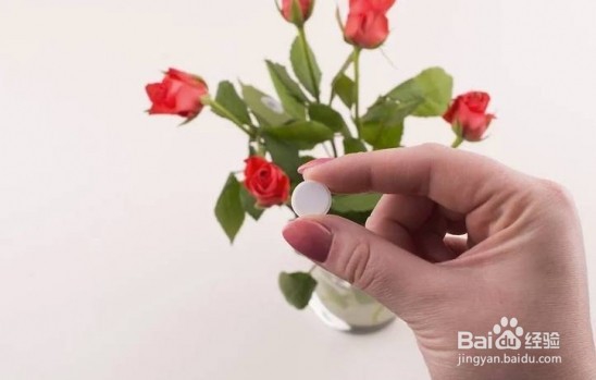 过期的药片丢花盆里植物也不发黄了