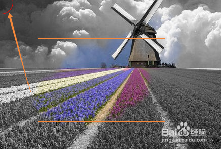 美图秀秀怎样给图片设置局部彩色