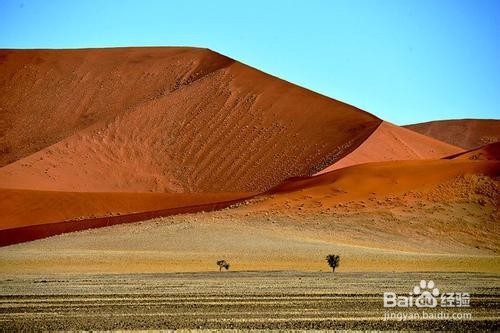 纳米比亚游红沙丘攻略