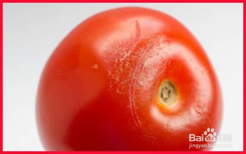 如何更好的挑选西红柿