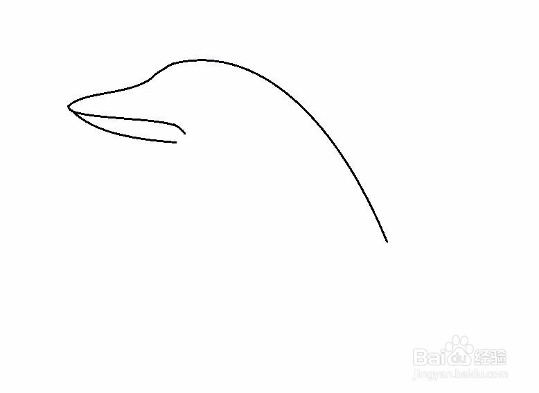 简笔画海豚的画法