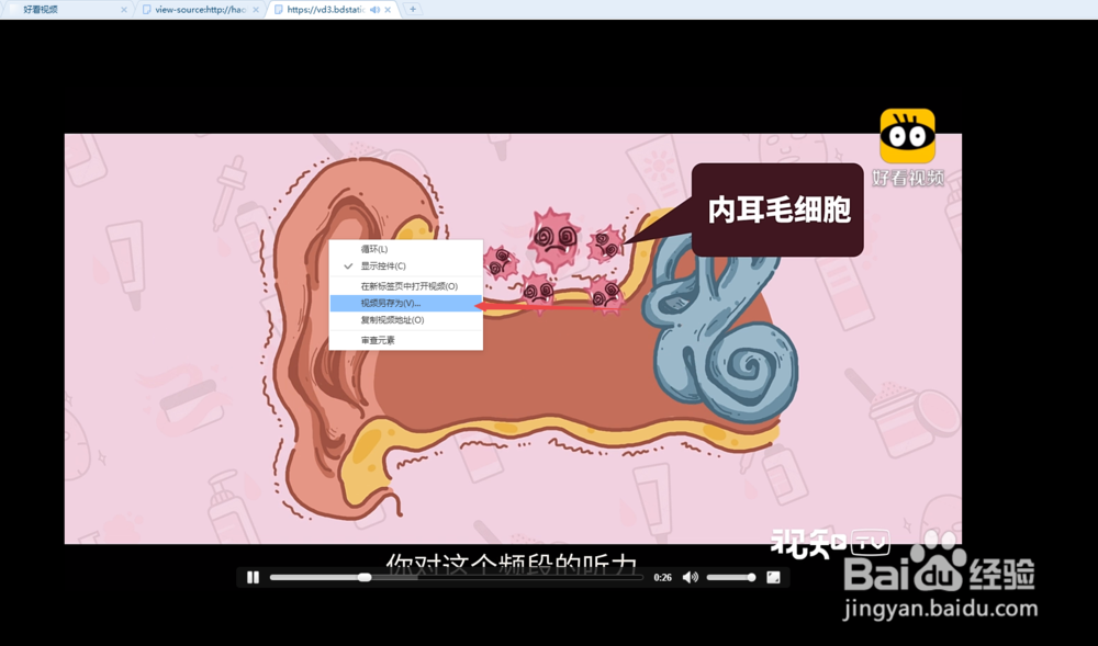 怎么下载网站上的视频（续）？