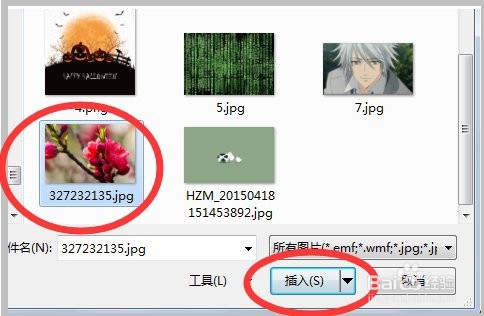ppt如何设置图片的大小能全屏显示的方法