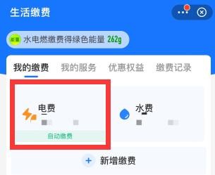 支付宝电费自动缴费怎么取消?