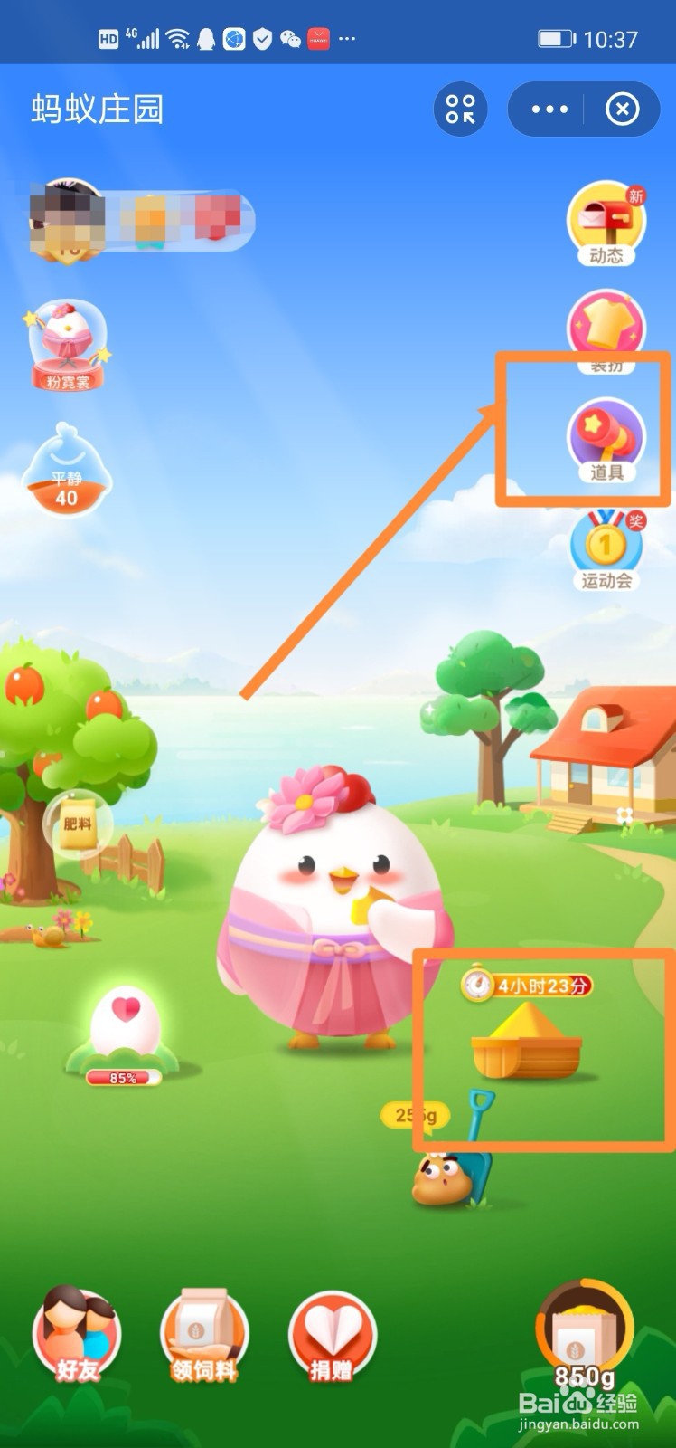 蚂蚁庄园小鸡吃食物的时间怎么变少