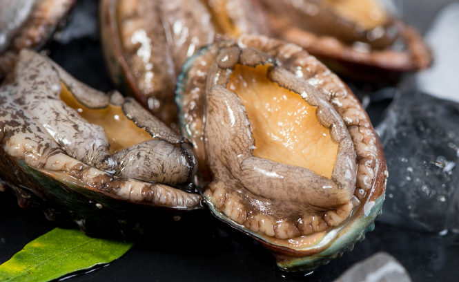 鲸鱼和鲍鱼都是海鱼吗