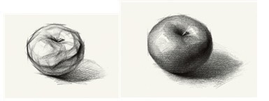 素描静物的画法一